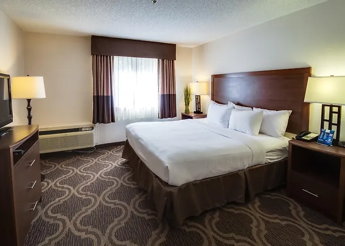 Ashmore Inn And Suites Lubbock