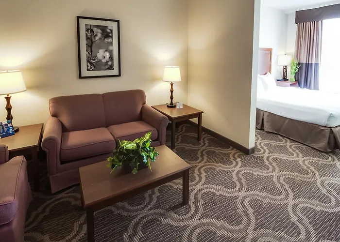 Ashmore Inn And Suites Lubbock